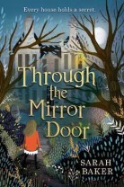 through-the-mirror-door-cover